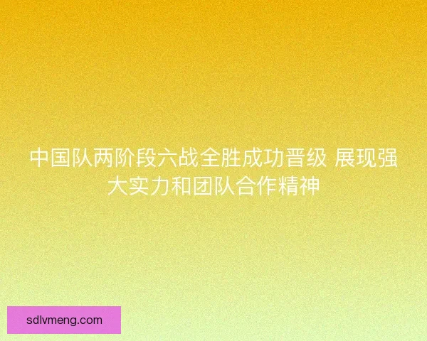 中国队两阶段六战全胜成功晋级 展现强大实力和团队合作精神